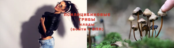 мяу мяу кристалл Арсеньев