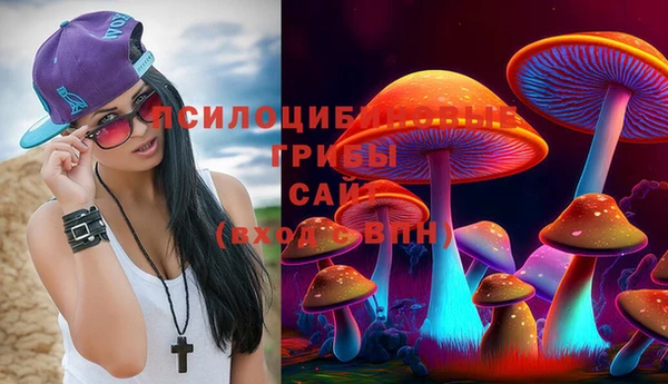 прущая мука Алексин