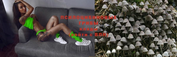 героин Алзамай