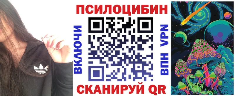 Купить где  Белоярский  Псилоцибиновые грибы Cubensis 